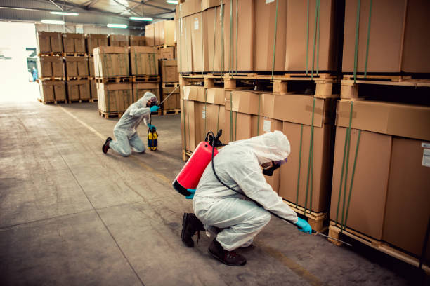Best Exterminator Services  in Plainview, TX
