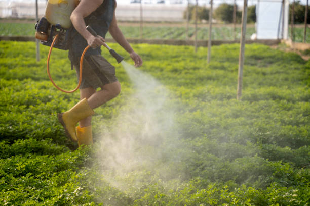  Plainview, TX Pest Control Pros
