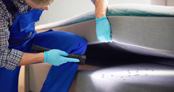 Reliable Plainview, TX Pest Control Solutions