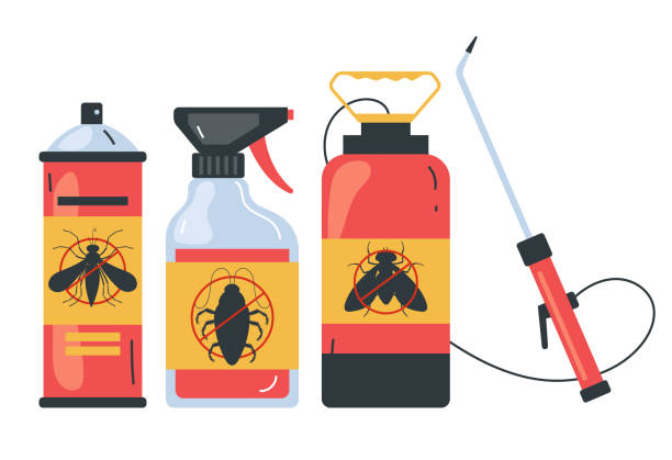 Best Cockroach Control Services  in Plainview, TX